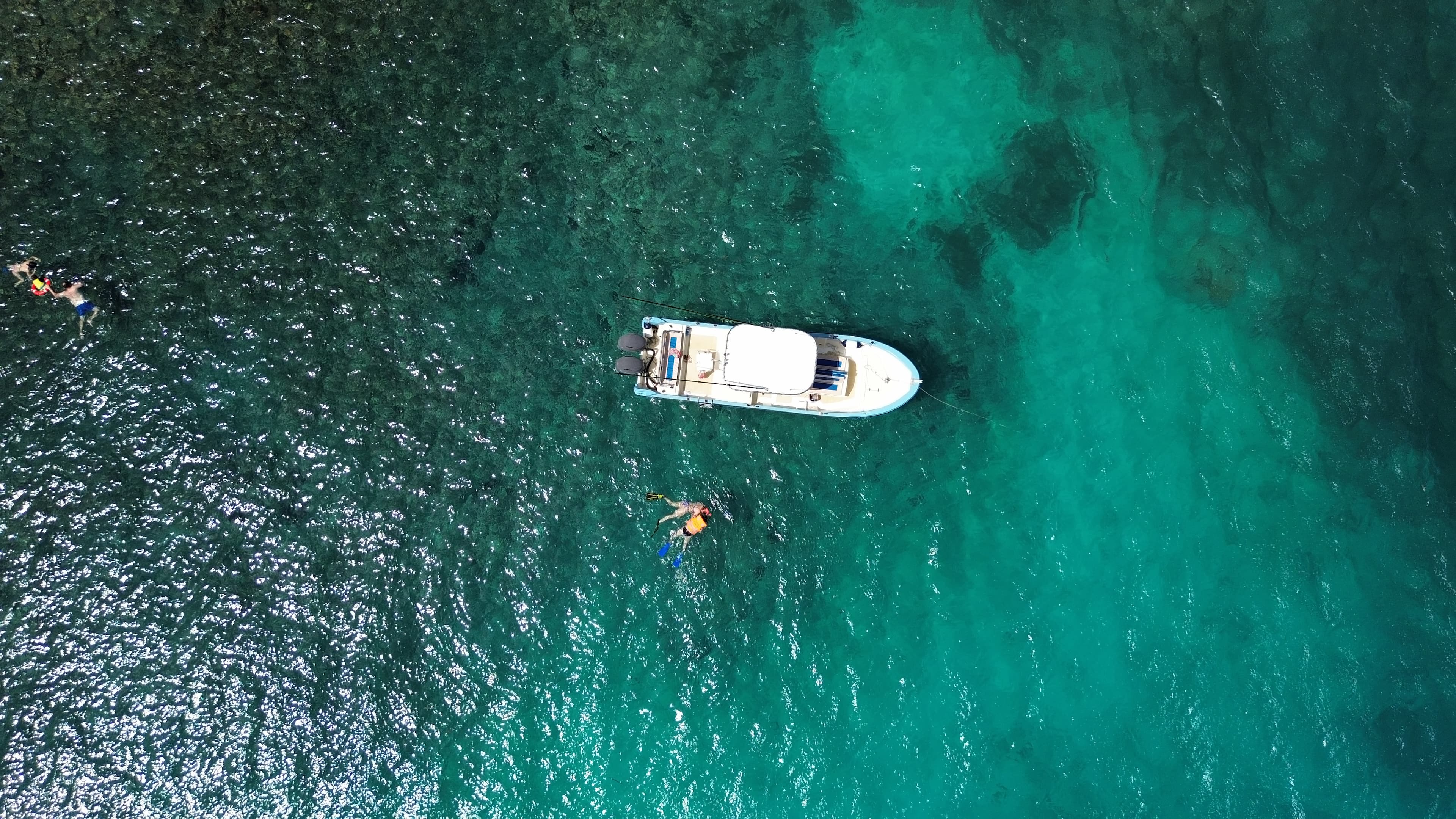 Snorkeling excursion